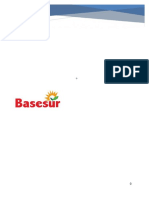 Basesur PDF