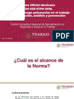 NOM-035-STPS-2018-PRESENTACION-CONFERENCIA-STPS-PPT (2).pdf