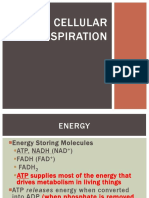 Cellular Respiration Fermentation 2017 UPDATED Use For 2019