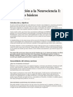 Introducción a la Neurociencia I.docx