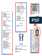 tmp_2685-GAS TRIPTICO PDF-1029721169.pdf