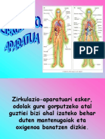 Zirkulazio Aparatua