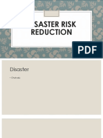 Disaster Risk