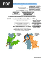 Formação das Grandes Áreas Metropolitanas (11.º)