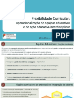 ACD_Flexibilidade_Curricular_OH.pdf