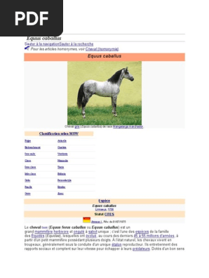 Livre : Guide fédéral galop 4 écrit par Fédération française d
