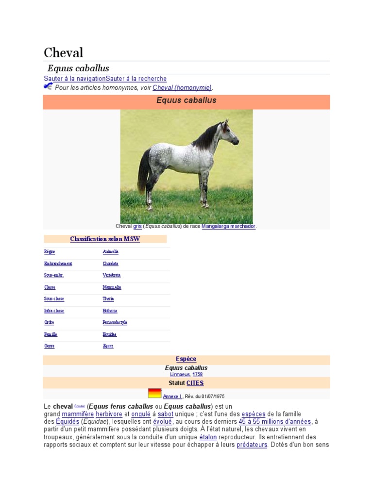Classification et caractéristiques du cheval | PDF | Chevaux | Poney