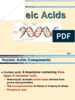 28 Nucleic Acids