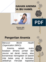 Pencegahan Anemia Pada Ibu Hamil