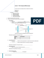 Exercise 1 The Compound Microscope PDF