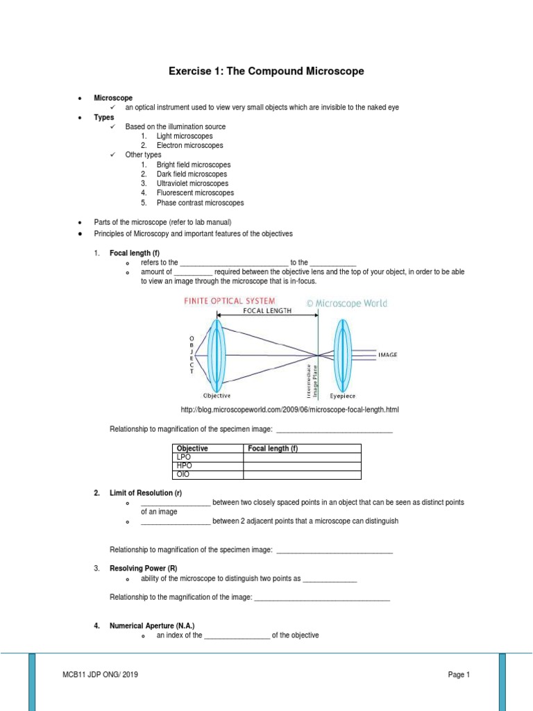 Understanding the Compound Microscope | PDF | Microscopy | Angular ...