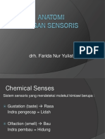 Organ Sensoris2