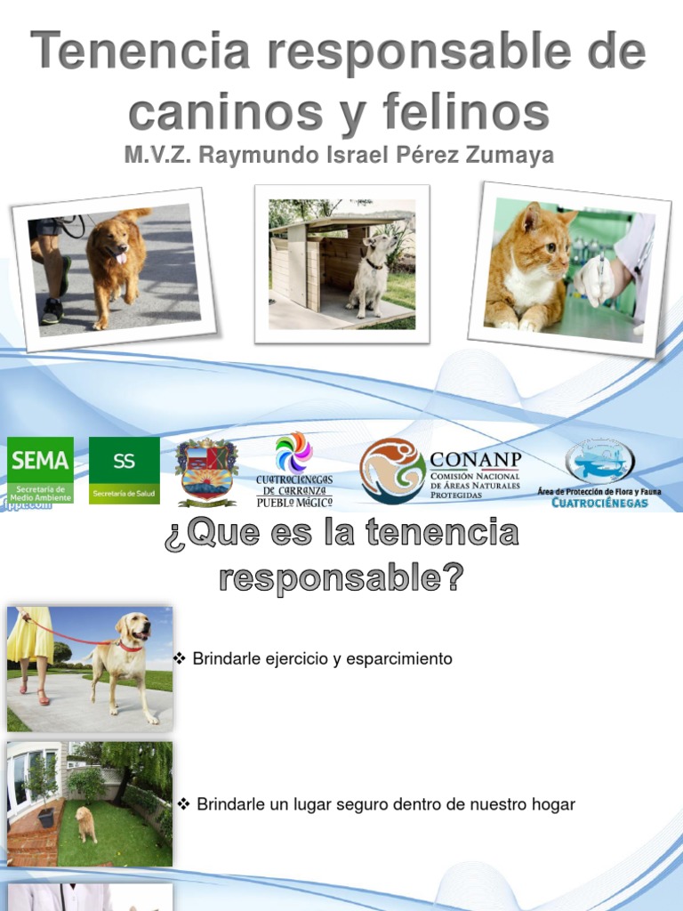 Tenencia Responsable de Felinos y Caninos | PDF | Gatos | Perros