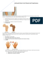 Gangguan Pada Sistem Gerak