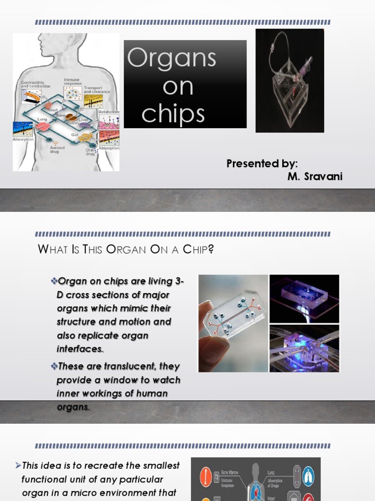 Organs On A Chip | PDF
