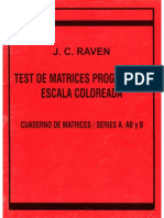 RAVEN Cuaderno de Matrices A, AB, y B
