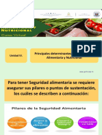 Pilares y Factores Que Condicionan La Seguridad Alimentaria y Nutricional (Autoguardado)