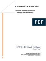 ESTUDIO DE SALUD FAMILIAR - 100.docx
