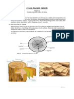 Timber Design Module 1