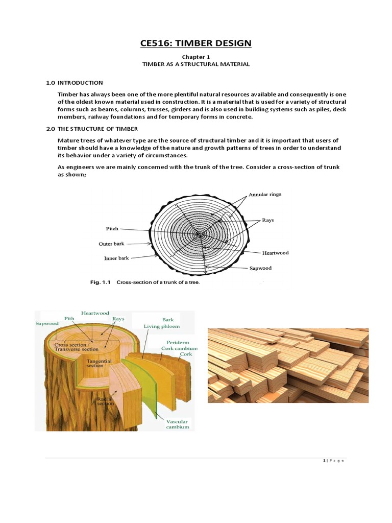 Timber Beam Design and Analysis | PDF