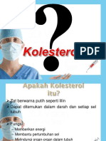 Kolesterol Promkes