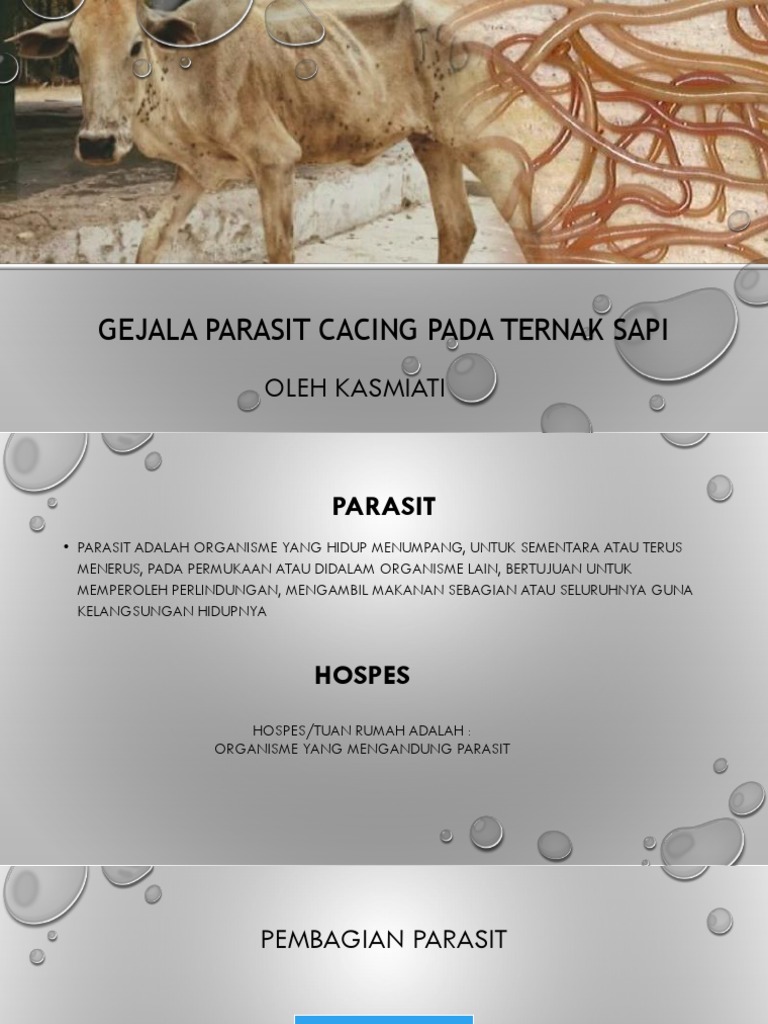 Gejala Cacingan pada Ternak Sapi | PDF | Kesehatan Holistik | Sains ...