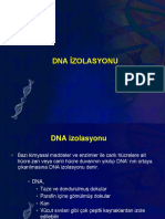 DNA Izolasyonu
