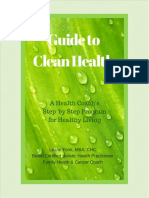 Guide to Clean Health .pdf