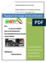 Raport de Stage PDF