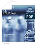 Miguel Udaondo_Fuentes de energia. Liderazgo.pdf