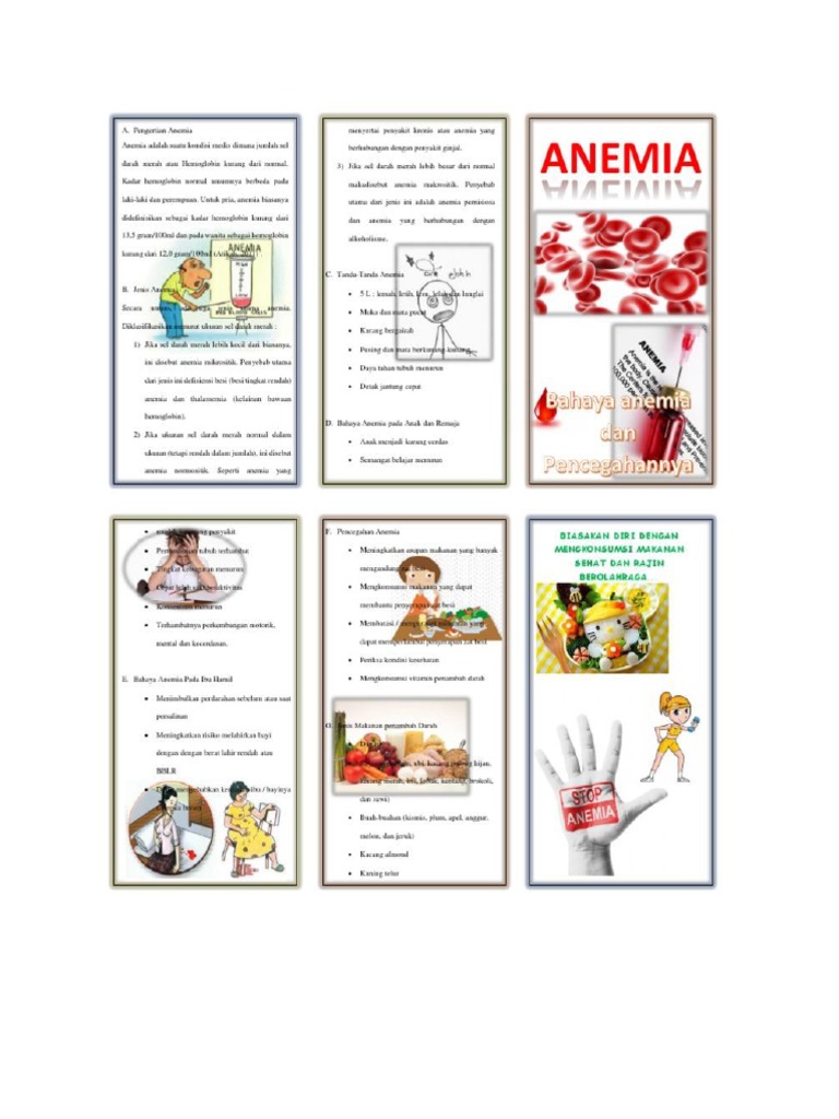 Leaflet Anemia | PDF