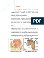 Jawaban DKP2 Indera Dayang