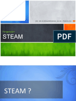 Steam 