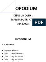 LYCOPODIUM Presentasi Power Point