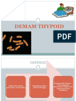 Demam TIfoid  RMI.pptx