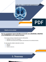 Neurona Semana 2 PDF