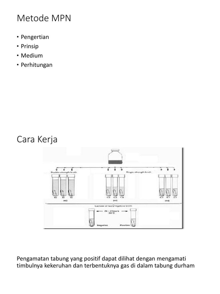 Metode Mpn Pdf