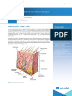 M1T1 Dermatologia Clase 1