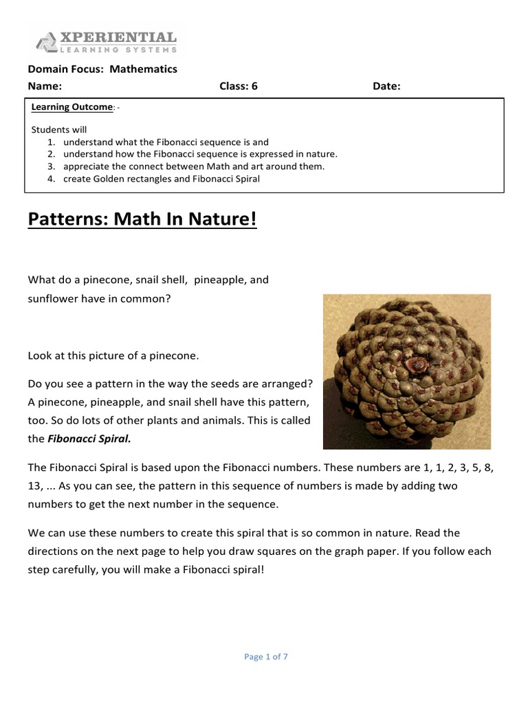 Fibonacci WorkSheet