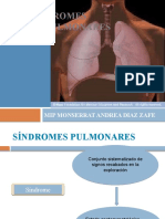 Sindromes Pleuropulmonares