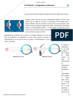 Anomalías visuales 2