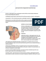 Acg PDF