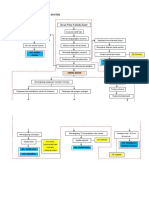 Patoflowdiagram Herpes Zoster