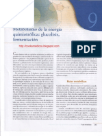 Capitulo 9 Metabolismo de La Energía Quimiotrófica Glucolisis, Fermentación