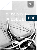 Eseul Rapid PDF