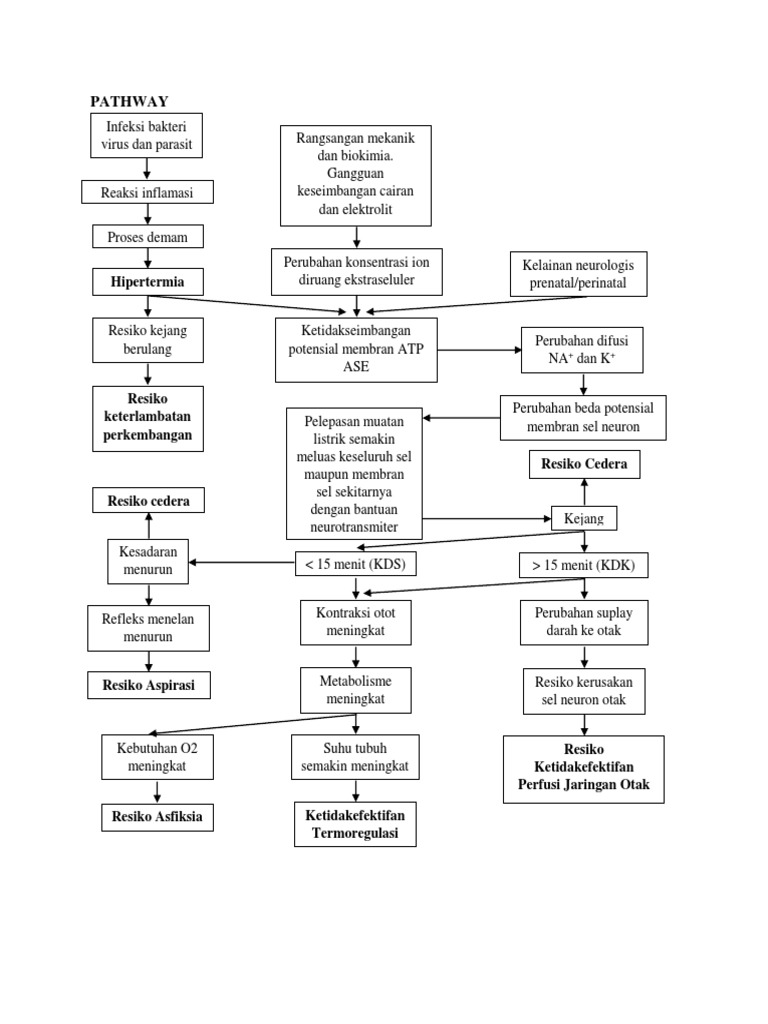 Pathway KDK | PDF | Sains & Matematika