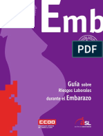 Guia sobre RRLL durante el embarazo.pdf