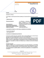 INFORME N° 261 (1)