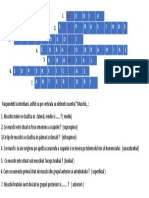 Anatomia - Studiu Individual (Sikorski Iurie)