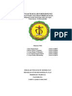 Tugas Makalah Farmakologi Obat Pada Salu